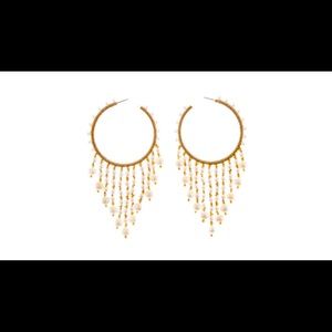 Oscar de la Renta Earrings